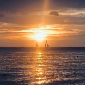 Meet your Posher, Edselle